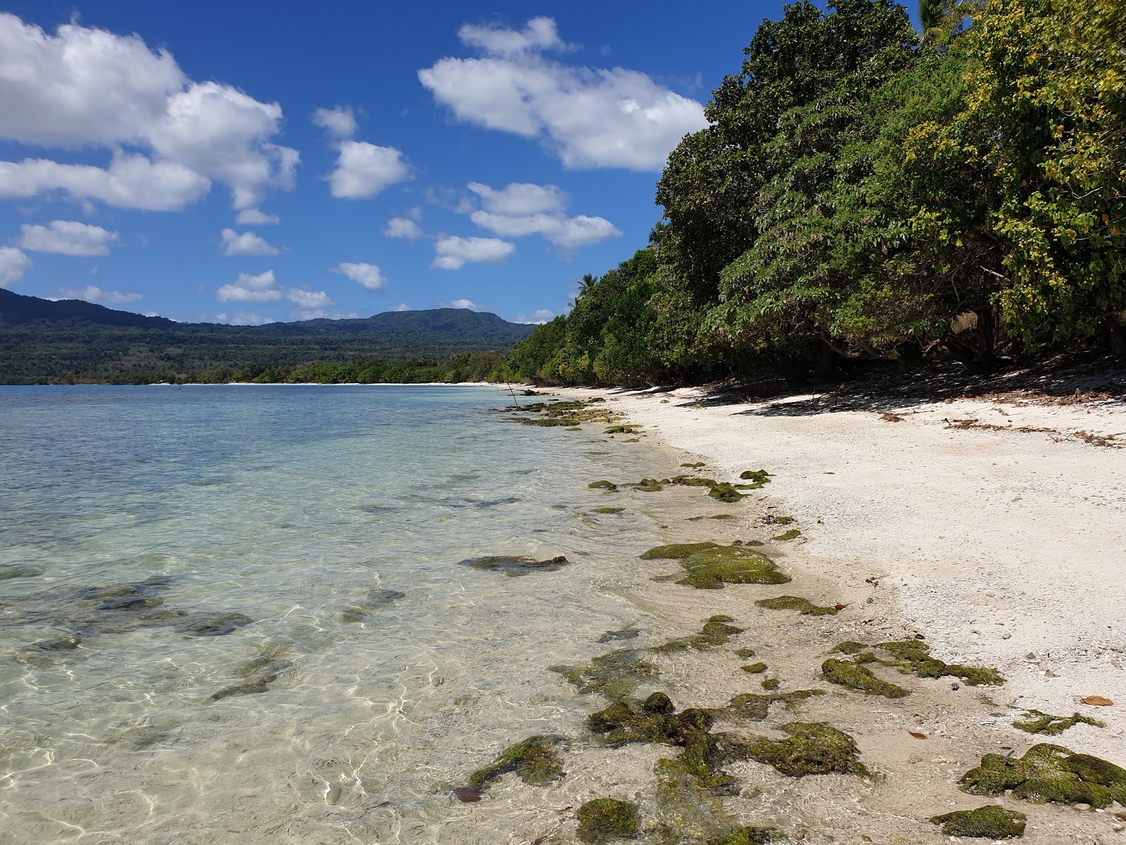 Foto de Saint Lawrence Beach con arena beige y rocas superficie