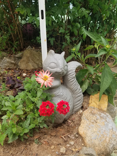 Water Park «Sun Crest Water Park», reviews and photos, 6806 All Healing Springs Rd, Taylorsville, NC 28681, USA