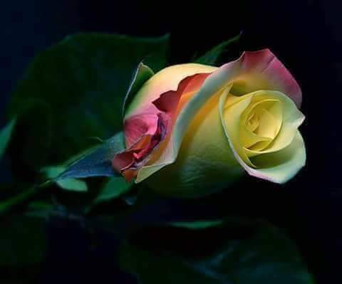 Park «East Rock Park», reviews and photos, 41 Cold Spring St, New Haven, CT 06511, USA