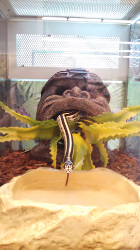 Pet Supply Store «PetSmart», reviews and photos, 291 Skokie Blvd, Northbrook, IL 60062, USA