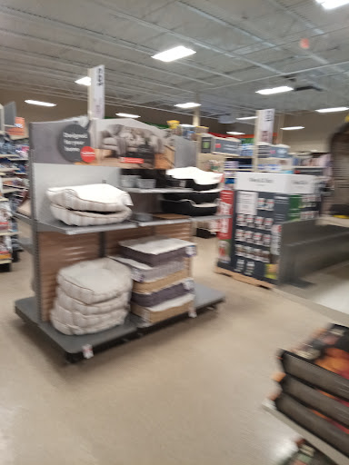 Pet Supply Store «PetSmart», reviews and photos, 1700 Norman Dr #200, Valdosta, GA 31601, USA