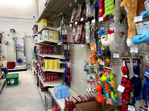 Hardware Store «Bay To Bay Hardware & Pool Supplies», reviews and photos, 4215 W Bay to Bay Blvd, Tampa, FL 33629, USA