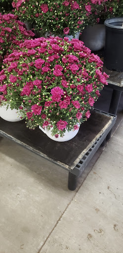 Department Store «Walmart Supercenter», reviews and photos