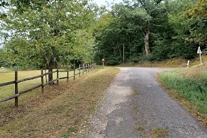 Forêt du Vignoble image