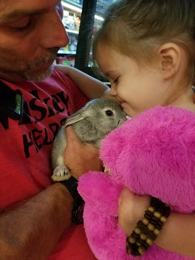 Pet Store «Discount Pets & Supplies», reviews and photos, 211 Hancock Bridge Pkwy, Cape Coral, FL 33990, USA