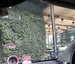 CASA DE LA HIEDRA photo