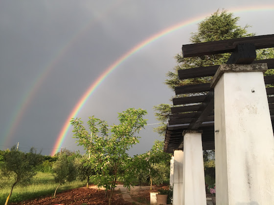 Photos des visiteurs Chambre d'hôtes Il Gallo Felice 74015 Martina Franca