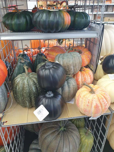 Craft Store «Michaels», reviews and photos, 650 Sunrise Hwy, Valley Stream, NY 11581, USA