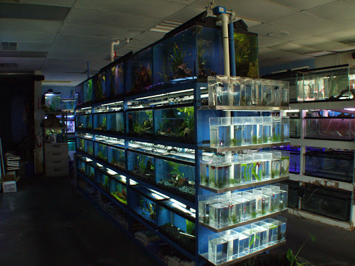 Pet Store «Fish 4 U», reviews and photos, 4010 Highland Dr #1, Millcreek, UT 84124, USA