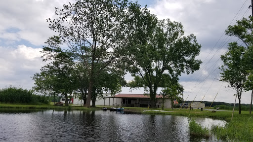 Boat Rental Service «Blackwater Paddle and Pedal Adventures», reviews and photos, 2524 Key Wallace Dr, Cambridge, MD 21613, USA