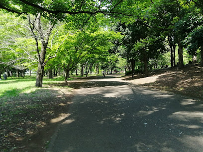 小金井公園 ユーカリ広場