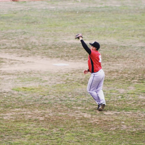 Opiniones de DIAMANTE LOBOS NEGROS BEISBOL en La Pintana - Escuela