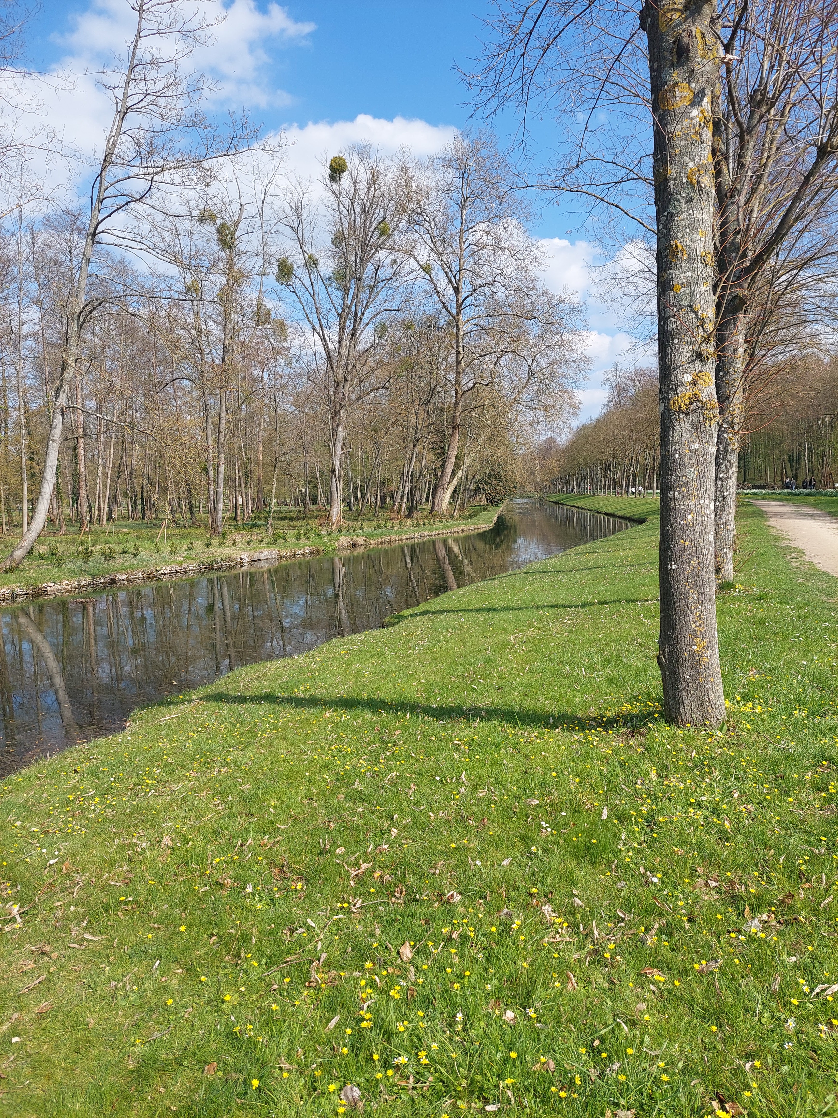 Photo n° 1 de l'avis de Gaël.E fait le 11/04/2023 à 17:58