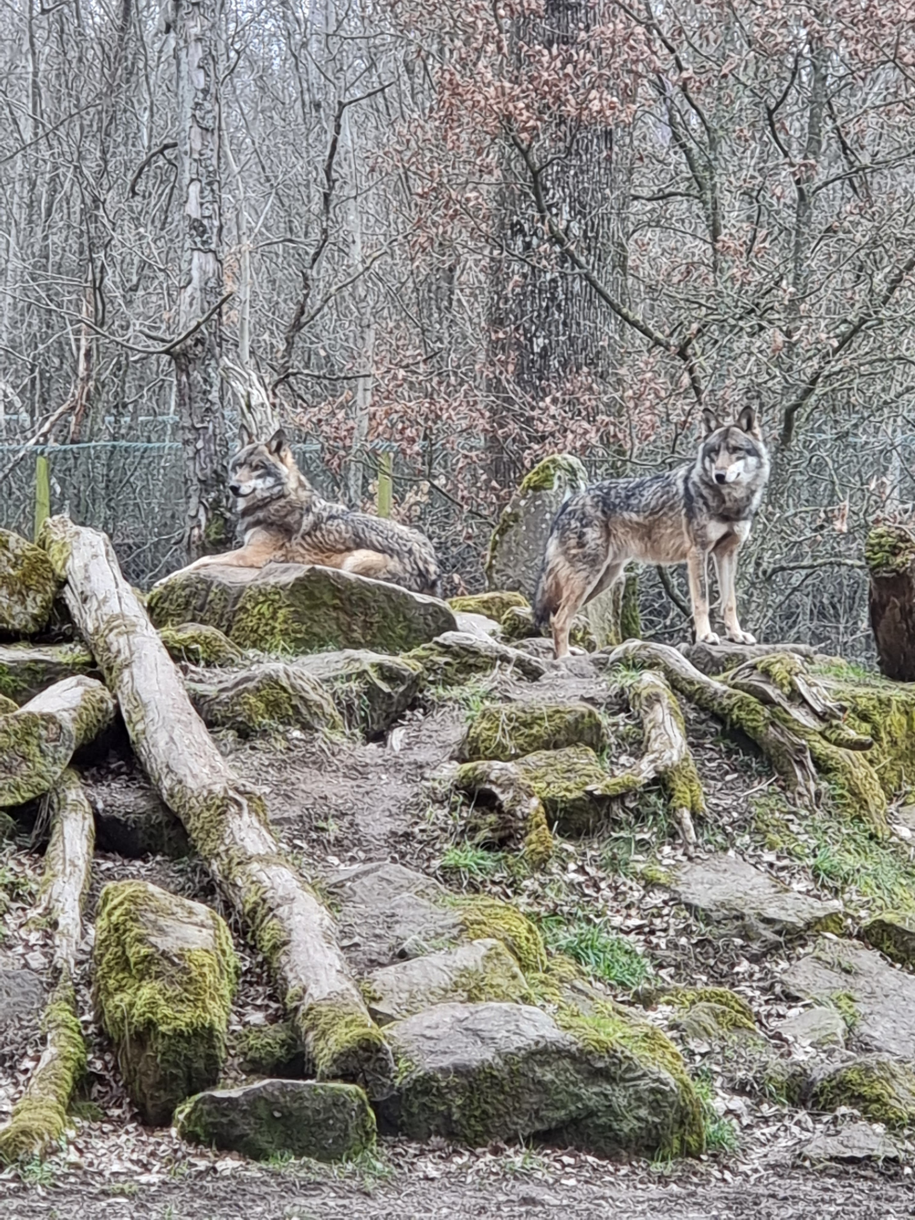 Photo n° 37 de l'avis de percque.a fait le 12/03/2023 à 16:11