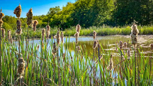 Real Estate Agency «Bluegrass Team - Real Estate Professionals», reviews and photos, 460 S 4th St #3, Danville, KY 40422, USA