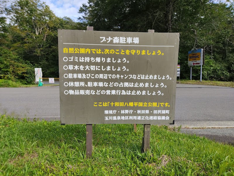 ブナ森園地駐車場