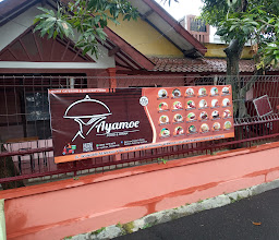 Ayamoe photo