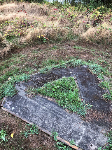 Tourist Attraction «A Sound Garden», reviews and photos, 7600 Sand Point Way NE, Seattle, WA 98115, USA