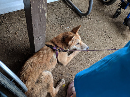 Zoo «Animal World & Snake Farm Zoo», reviews and photos, 5640 Interstate 35 Frontage Rd, New Braunfels, TX 78132, USA