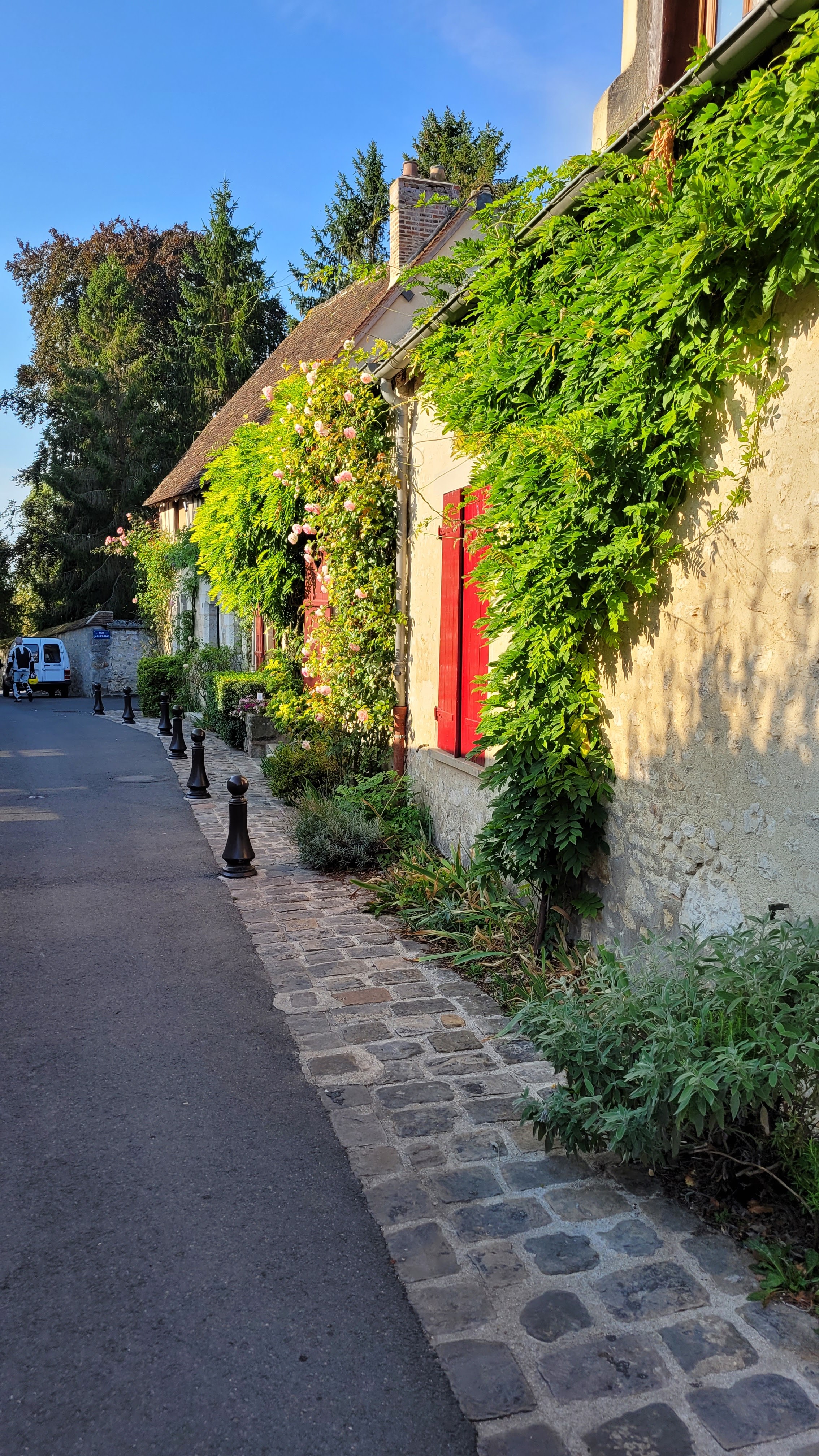 Photo n° 30 de l'avis de Michel.o fait le 03/09/2021 à 18:28