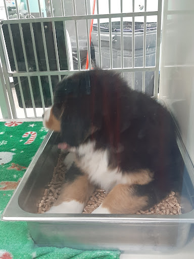 Pet Store «Animart», reviews and photos, 4303 E Towne Way, Madison, WI 53704, USA