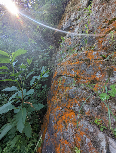 Nature Preserve «Sawyer Quarry Nature Preserve», reviews and photos, 26940 Lime City Rd, Perrysburg, OH 43551, USA