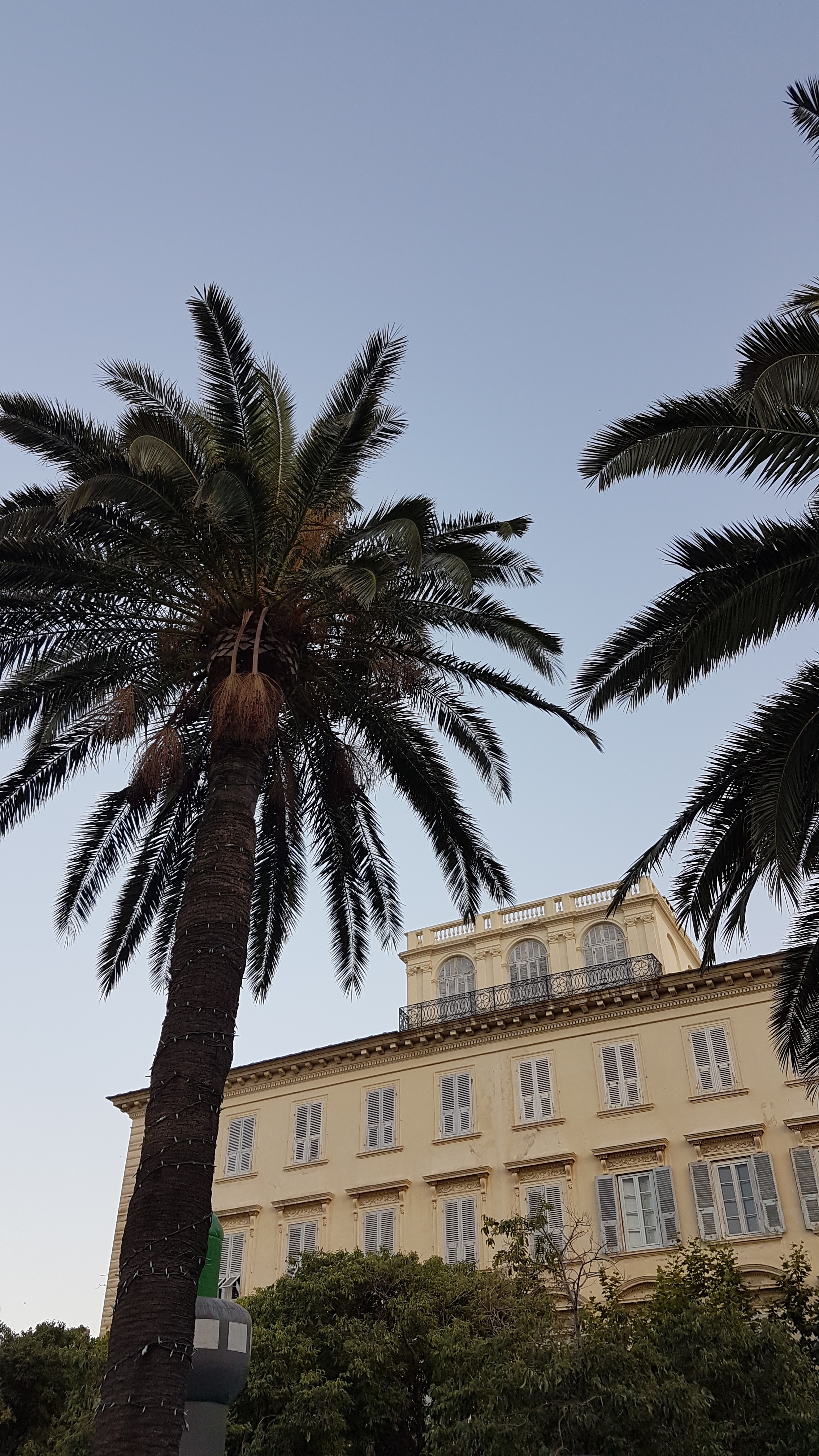 Photo n° 14 de l'avis de sandy.a fait le 08/01/2019 à 11:39