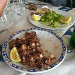 Photo n°1 de l'avis de Daniele.a fait le 06/12/2023 à 13:32 sur le  La Spiaggetta Da Mario à Torvaianica