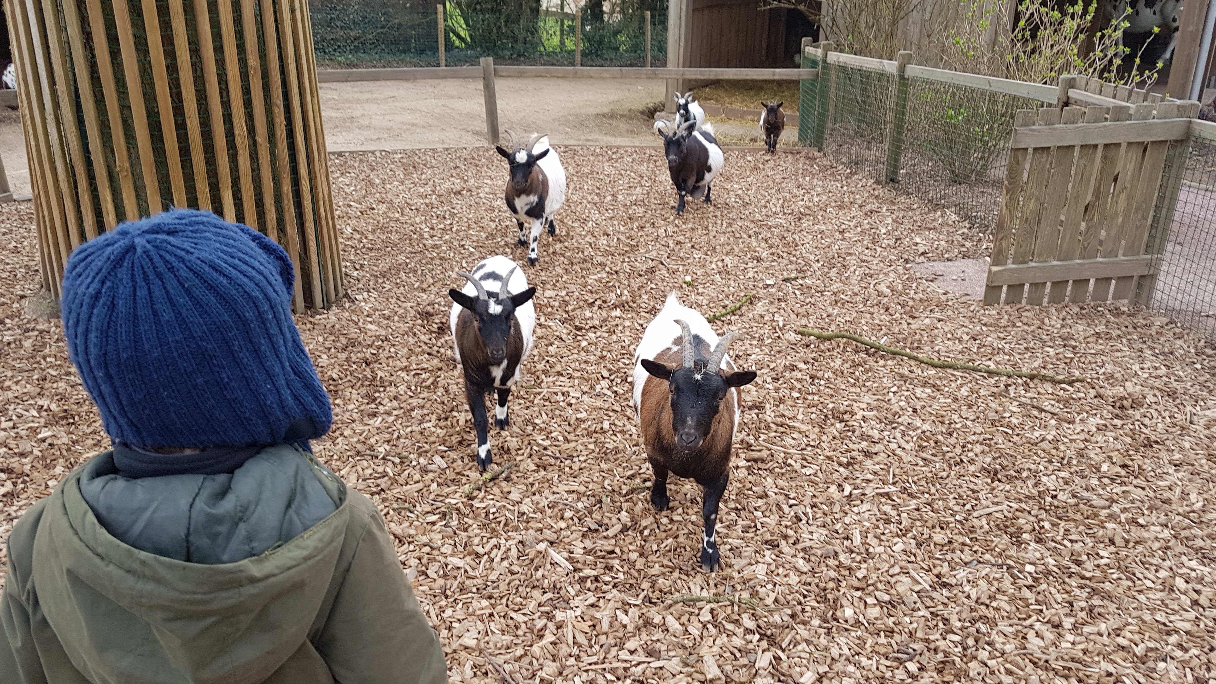 Photo n° 11 de l'avis de PA.A fait le 09/03/2019 à 12:19