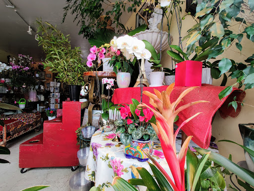 Florist «La Vie En Rose Flowers», reviews and photos, 1272 Solano Ave, Albany, CA 94706, USA
