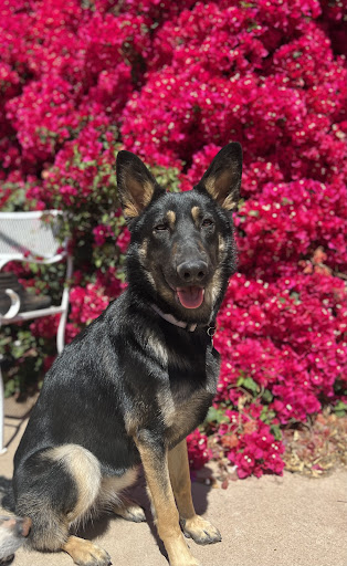 Tattoo Shop «The Honorable Society tatoo parlor and lounge», reviews and photos, 8424 Santa Monica Blvd # B, West Hollywood, CA 90069, USA