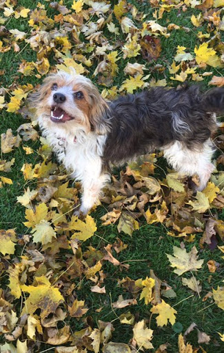 Lingerie Store «Allure Intimate Apparel», reviews and photos, 18900 W Bluemound Rd, Brookfield, WI 53045, USA