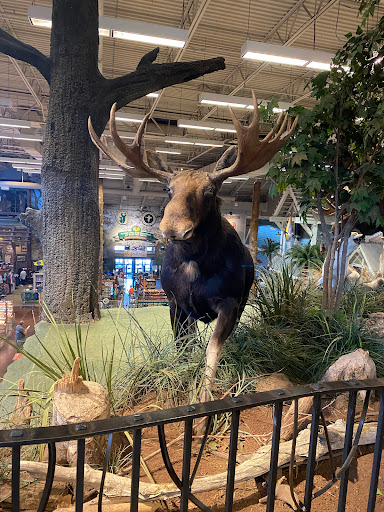 Sporting Goods Store «Bass Pro Shops», reviews and photos, 6425 Daniel Burnham Dr, Portage, IN 46368, USA