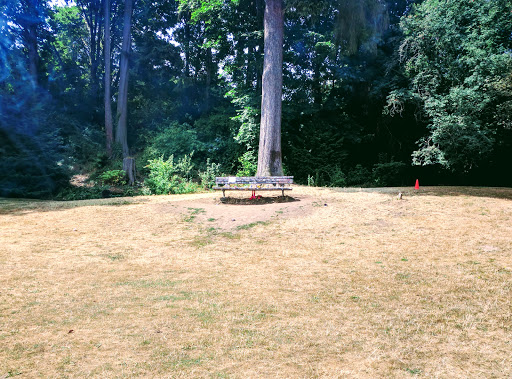 Park «Viretta Park», reviews and photos, 151 Lake Washington Blvd E, Seattle, WA 98112, USA