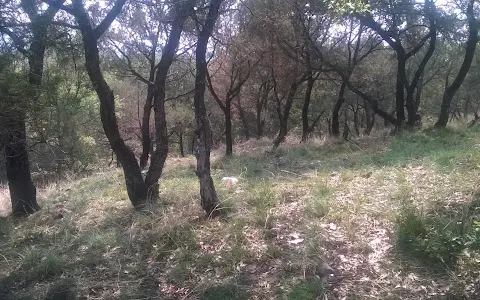 Parque del Cerro de la Luna image