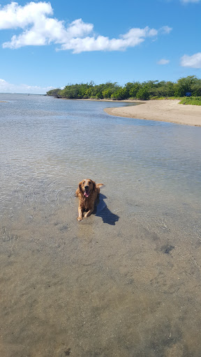 Vetco Total Care Animal Hospital image