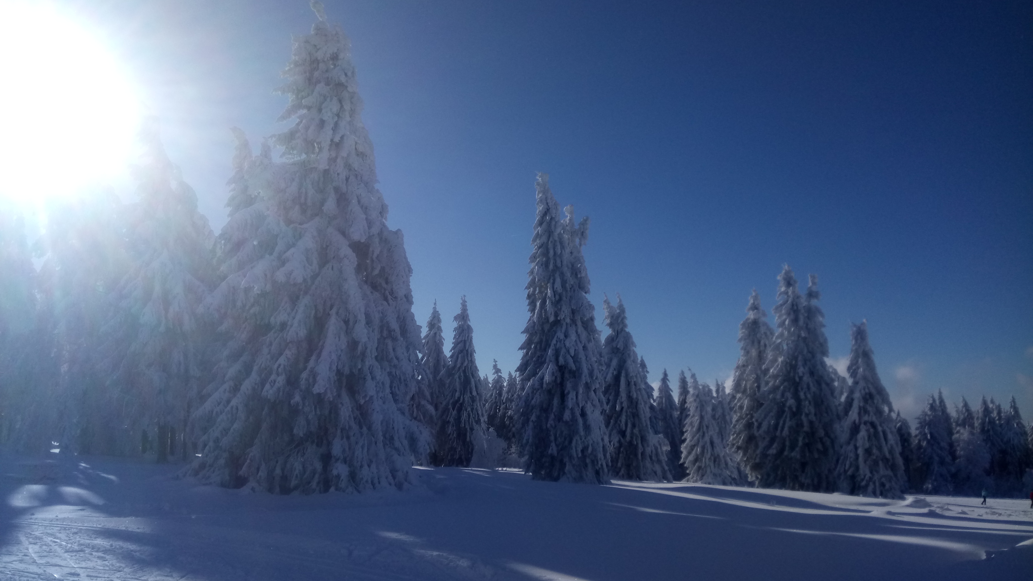 Photo n° 2 de l'avis de Ellen.e fait le 16/12/2017 à 20:01