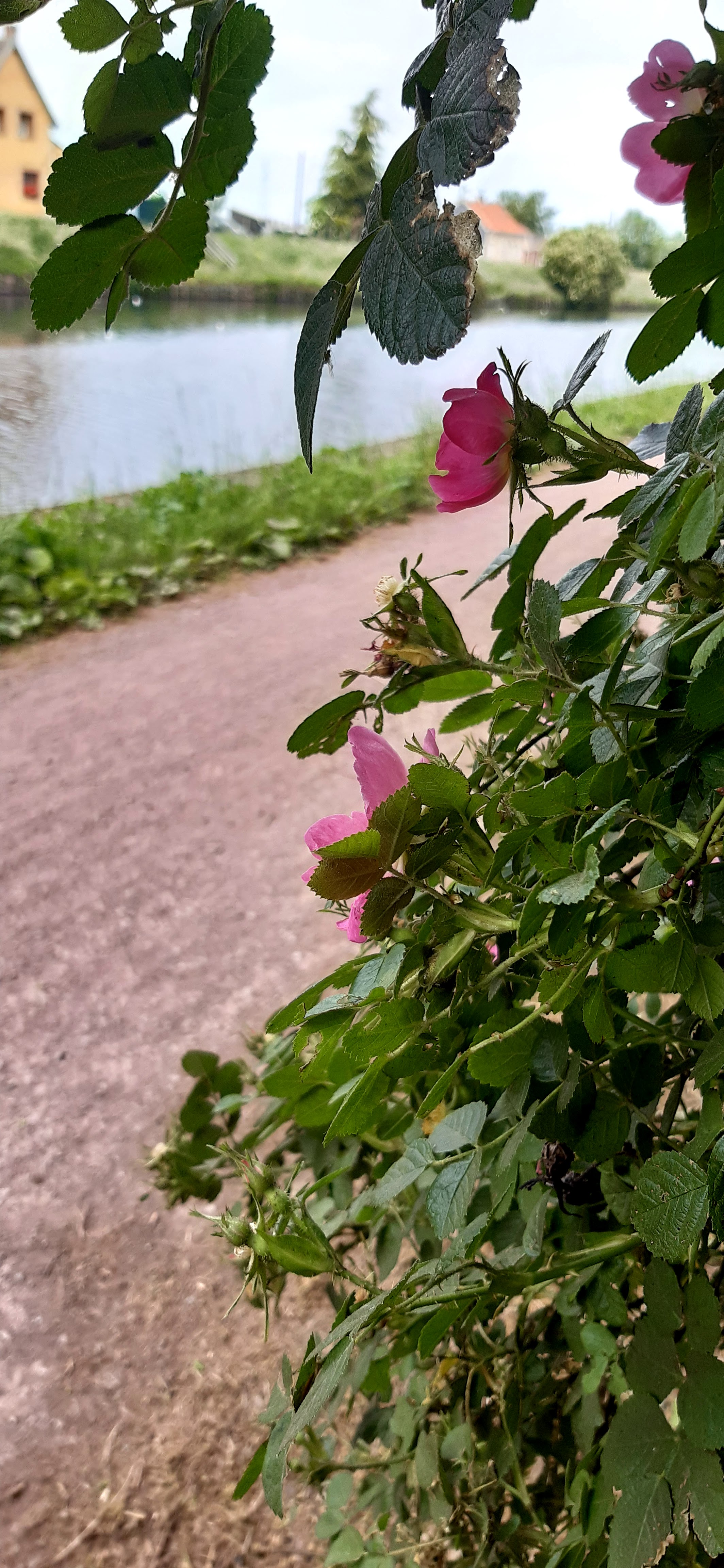 Photo n° 6 de l'avis de Lore.e fait le 24/05/2020 à 16:12