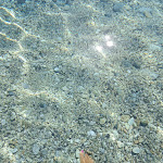 Photo n°4 de l'avis de Giada.p fait le 21/08/2022 à 08:48 sur le  Lido Anapi Pizzeria Ristorante à Catanzaro