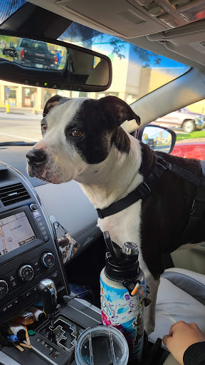 Shopping Mall «Whitehall Crossing Shopping Center», reviews and photos, IN-37, Bloomington, IN 47404, USA