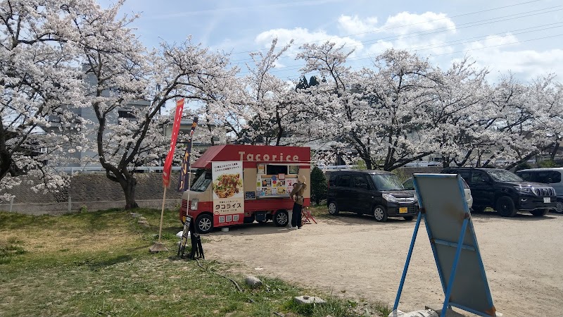 宮川緑地公園