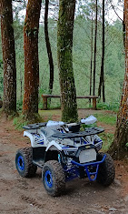 Hutan Pinus Kragilan, Magnet Baru Wisata Magelang