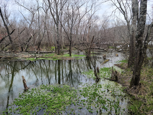 Park «Little Mulberry Park», reviews and photos, 3855 Hog Mountain Rd, Hoschton, GA 30548, USA