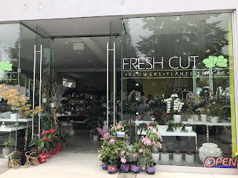 Fresh Cut Flowers