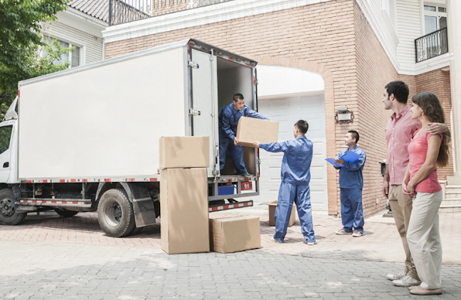 Reviews of East Coast Removals Ltd in Ipswich - Moving company