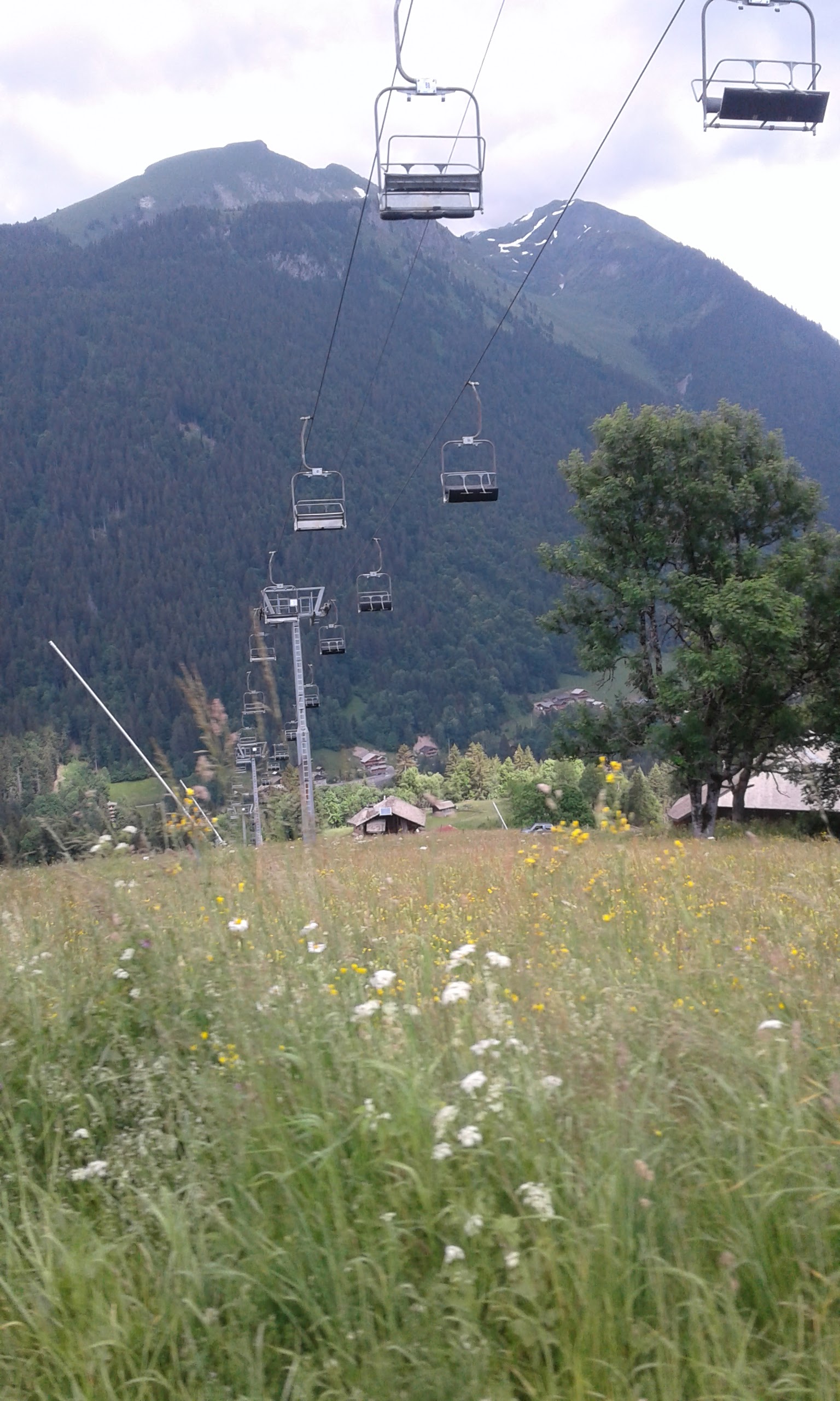 Photo n° 7 de l'avis de Cherzad.r fait le 24/06/2018 à 20:16