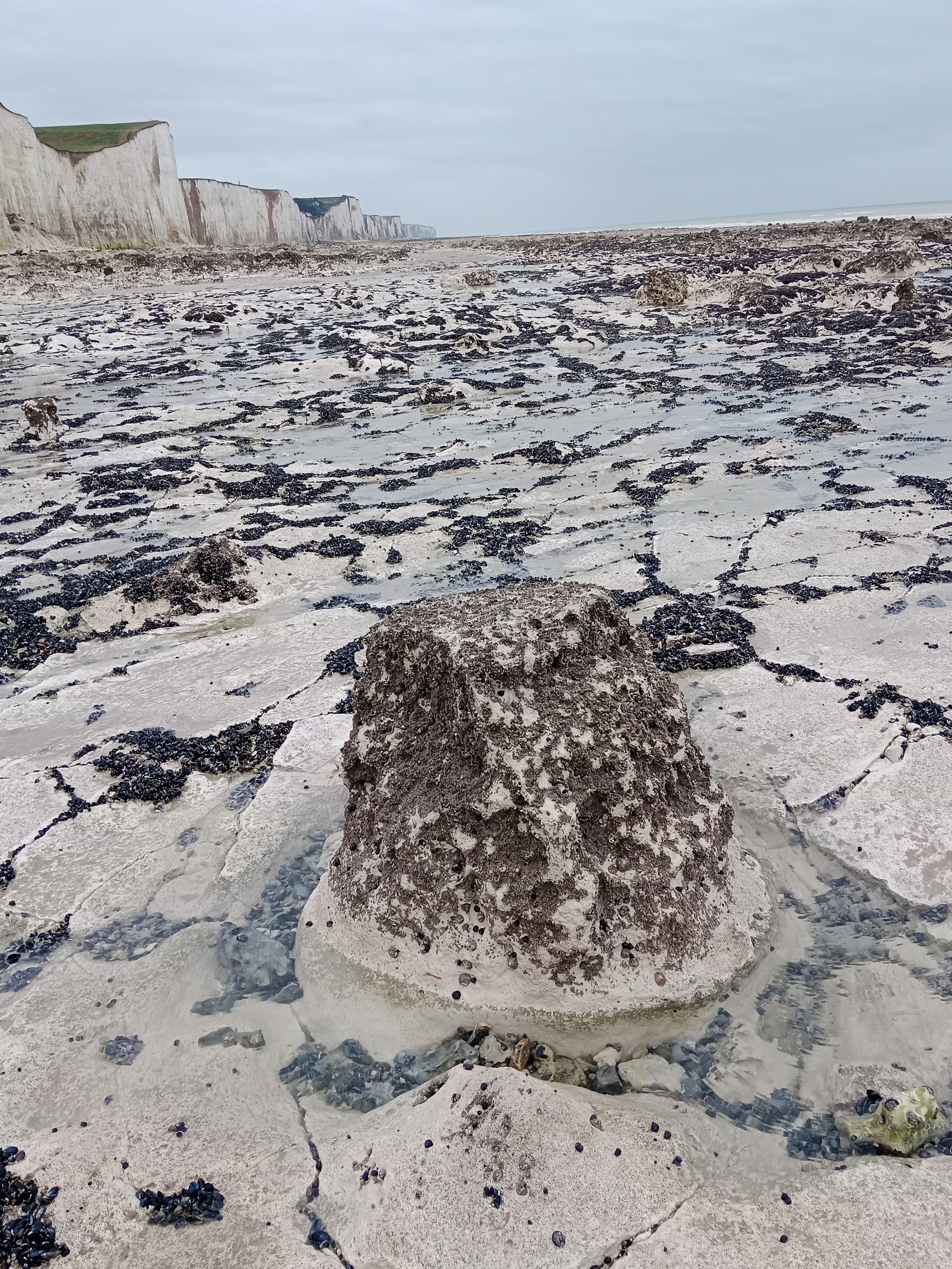 Photo n° 4 de l'avis de Éric.a fait le 11/02/2024 à 15:12