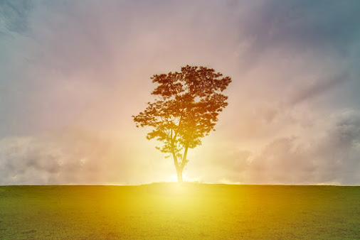 Connaught Counselling Centre - Connaught Counselling Centre