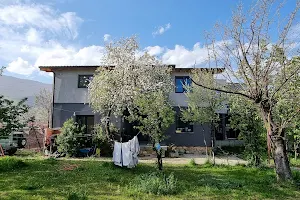 Bora Guest House image