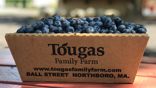 Tougas Family Farm